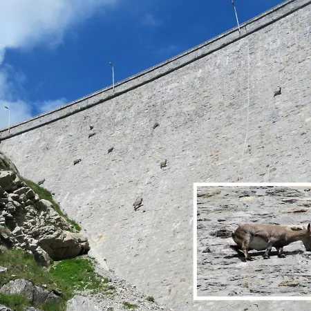 Giuly Appartamento Antronapiana