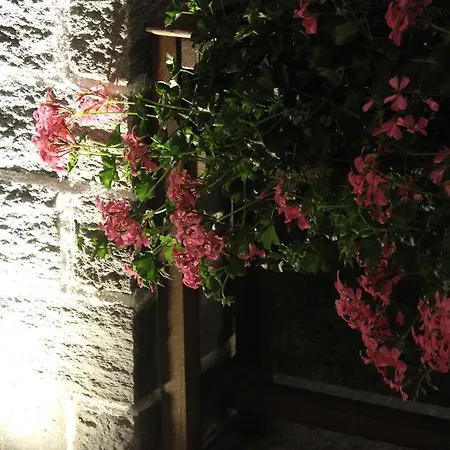 Appartement Giuly *
